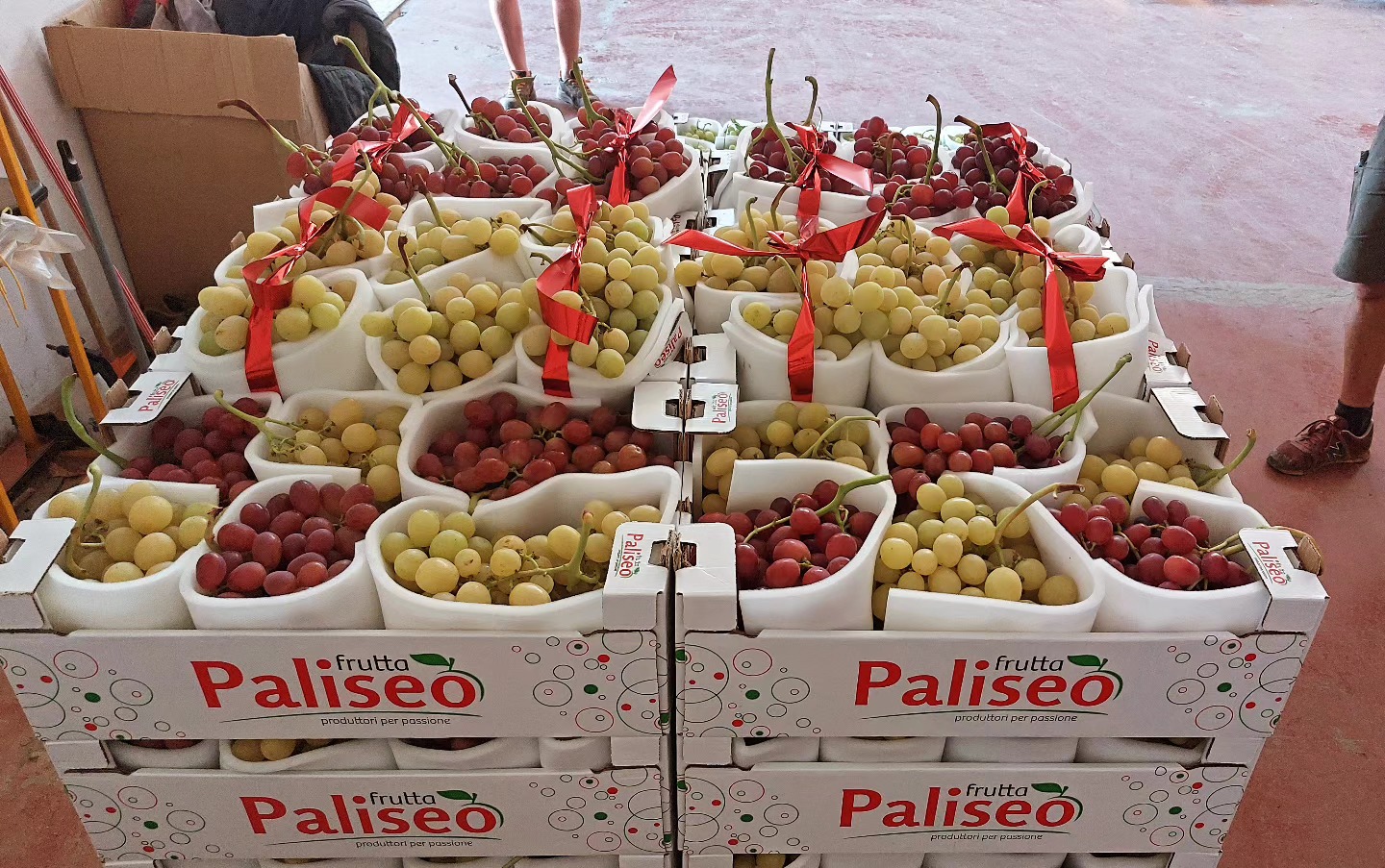 Paliseo Frutta